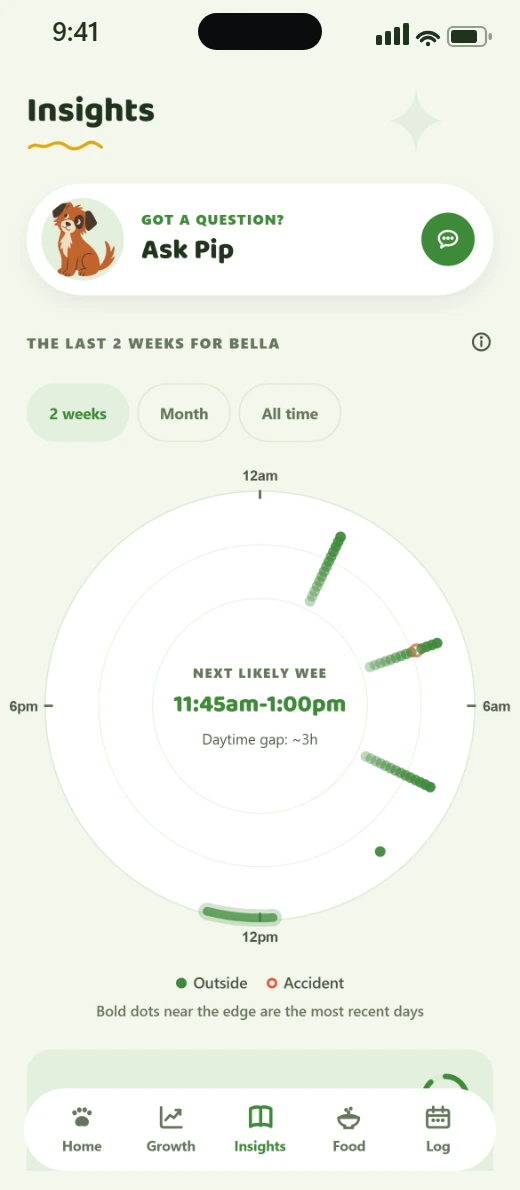 Vivlo's Insights screen: an Ask Pip shortcut above a 24-hour rhythm ring of toilet trips, predicting the next likely wee from the puppy's own pattern.
